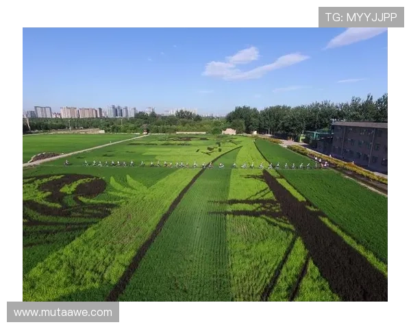918博天棠：以绿色设计理念引领城市生态建设