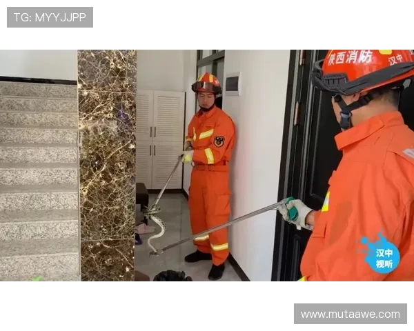 乐天堂官网安全保障措施全面介绍保障玩家资金安全