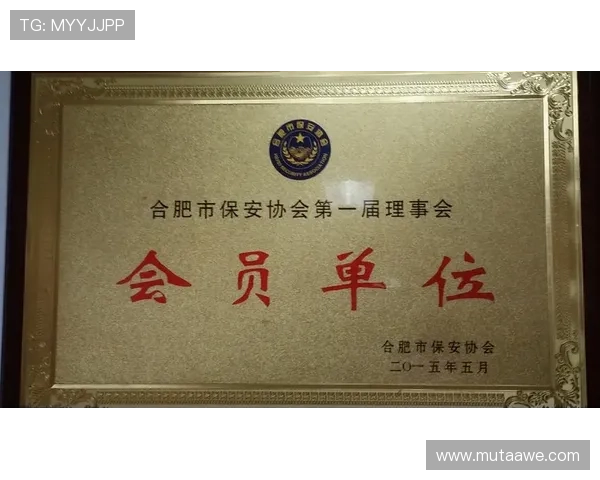 利博会员官网客户服务升级，快速响应会员咨询需求