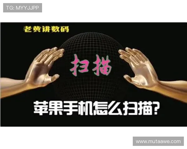 天博集团app新增多项便民功能，助力用户轻松管理财务与生活事务